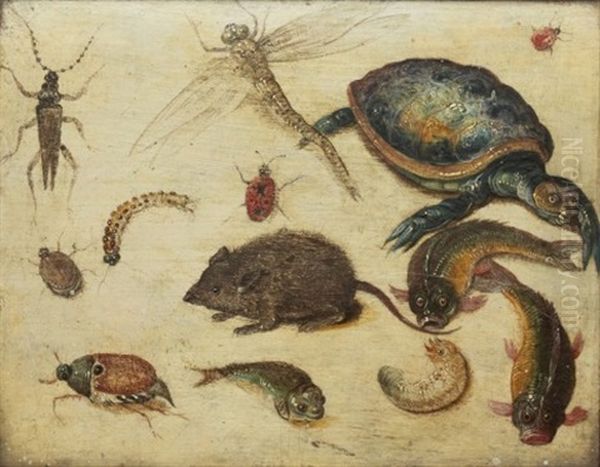 Studie Av Djur Och Insekter (collab. W/studio) - view 1