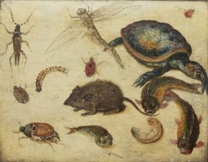 Studie Av Djur Och Insekter (collab. W/studio)