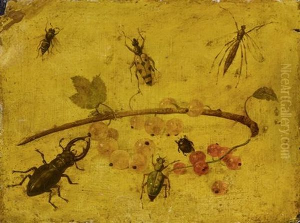 Hirschkafer Und Andere Insekten Um Rote Und Weisse Johannisbeeren (study) - view 1