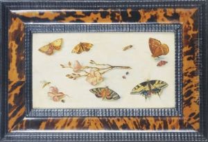 Butterflies And Flowers (+ A Companion Painting; 2 Works)
