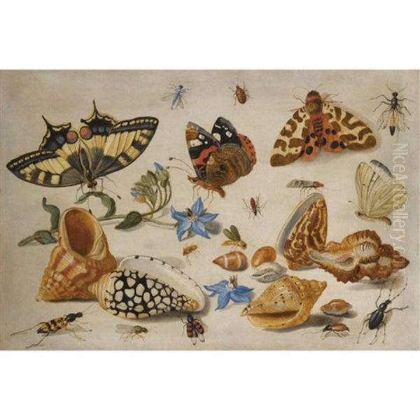 A Swallowtail (papilio Machaon), Red Admiral (vanessa Atalanta) And Other Insects With Shells And A Sprig Of Borage (borago Officinalis) by Jan van Kessel the Elder