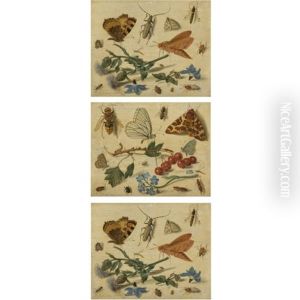 Butterflies, Moths And Insects, With Sprays Of Thistle And Borage (+ Butterflies, Moths And Insects, With Sprays Of Redcurrants And Forget-me-not; Pair) Butterflies, Moths And Insects, With Sprays Of Thistle And Borage (+ Butterflies, Moths And Insects, With Sprays Of Redcurrants And Forget-me-not; Pair)