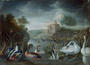 Canards Et Cygnes Dans Un Lac A Fond De Chateau