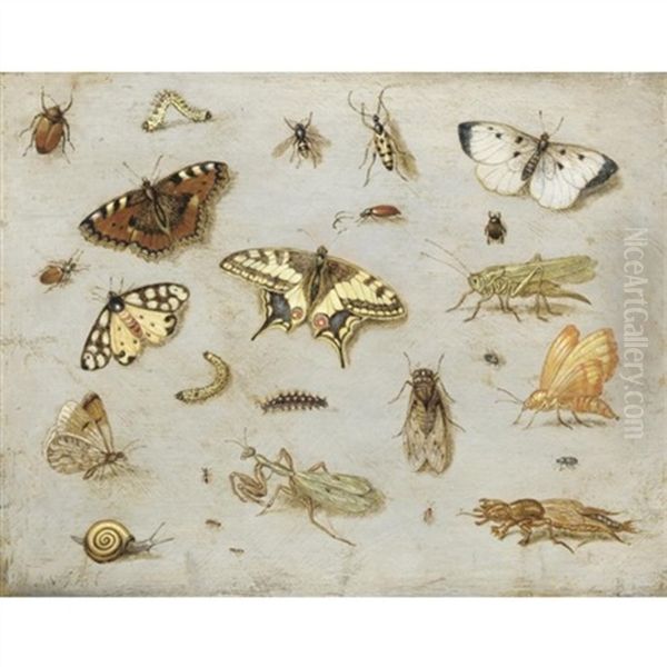 Studio Di Farfalle - view 1