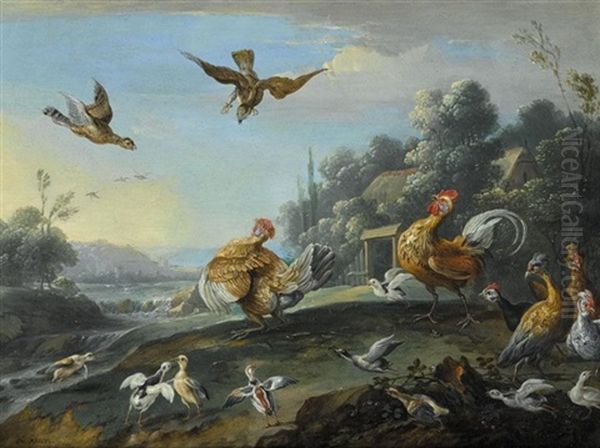 Chickens And Their Young Disturbed By Sparrow Hawks - view 1