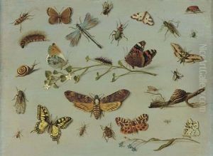 A Death's Head Moth, A Red Admiral, A Caterpillar And An Orange-tip Butterfly On A Sprig Of Jasmine, A Swallowtail Butterfly, A Garden Tiger Moth, A Scarab And Other Insects And Snails by Jan van Kessel the Elder