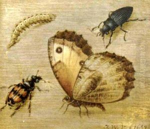 Insetti by Jan van Kessel the Elder