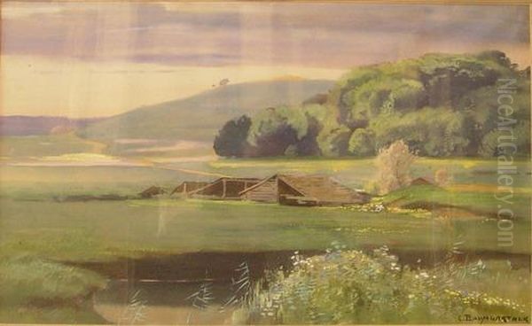 Sommerliche Moorlandschaft. - view 1