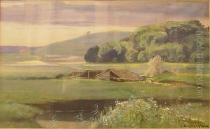 Sommerliche Moorlandschaft. by Christian Baumgartner