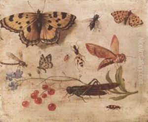 Butterflies, A Moth, A Cricket, A Dragonfly, A Beetle And Berries