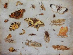 A Large Cabbage White, A Swallowtail And A Small Tortoiseshell Butterfly, A Garden Tiger Moth, A Chafer And Other Insects by Jan van Kessel the Elder