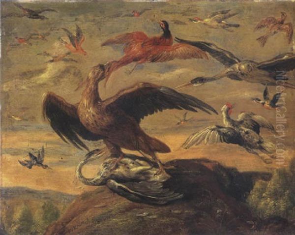 Oiseaux - view 1