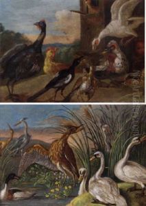 Guineafowl, A Magpie, A Muscovyduck And Other Fowl In A Farmyard by Jan van Kessel the Elder