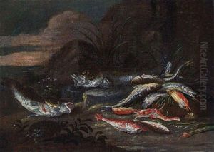 Dead Fish And A Tortoise On A River Bank