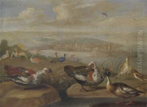 Ducks And Other Birds On The Seashore by Jan van Kessel the Elder