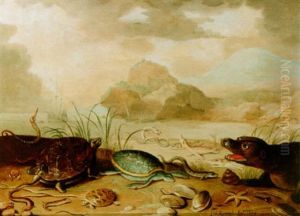 A Beach Scene With A Still Life Of Turtles, Fish, A Crab, Shells And A Seal, All On A Beach With A Ship Beyond
