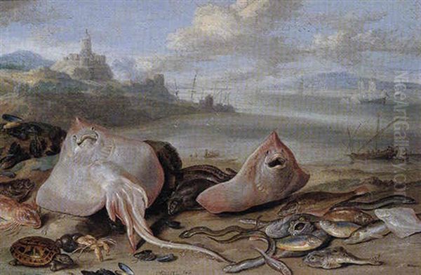 A Beach Scene With Rays, Eels, A Hermit Crab, Red Mullet, A Tortoise, And Other Fish - view 1