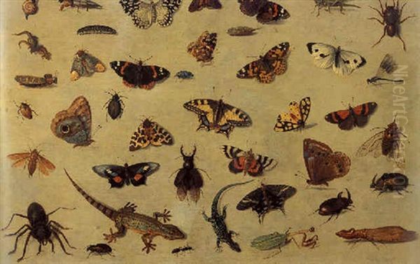 A Study Of Butterflies, Spiders, Lizards, A Beetle, An Ant, A Grasshopper And Other Insects - view 1