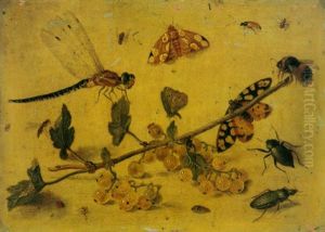 A Study Of A Sprig Of Gooseberries, A Dragonfly, Butterflies, Beetles, Spiders And A Bee by Jan van Kessel the Elder