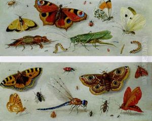 Butterflies, Moths, A Dragonfly, A Grasshopper And Other Insects by Jan van Kessel the Elder