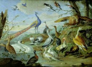 Aigle, Paons, Colombes Et Autres Oiseaux Pres D'une Rive