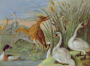 Wasservogel Am Schilfufer Eines Teiches by Jan van Kessel the Elder