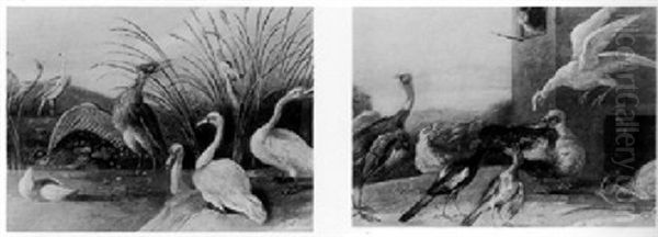 Birds In Landscape - view 1