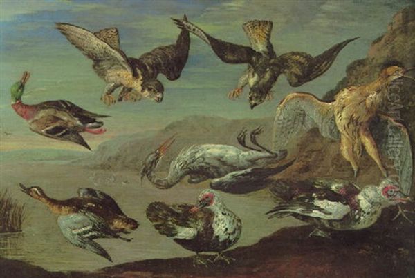 Birds Of Prey Attacking Herons And Ducks By A Pond - view 1