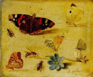 Butterflies, Insects And Flowers by Jan van Kessel the Elder