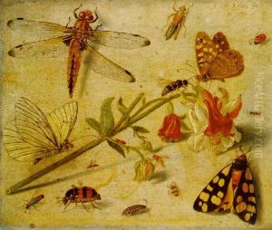 A Dragonfly, A Ladybird, A Moth, Butterflies, Insects And A Flower