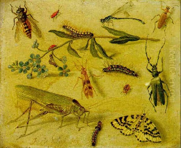 A Grasshopper, A Dragonfly, Caterpillars, Insects And A Forget-me-not - view 1