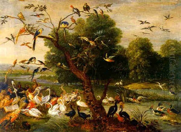 Vogelkonzert - view 1