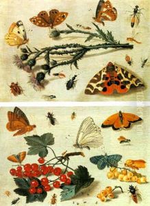 Two Studies Of Insects And Plants by Jan van Kessel the Elder