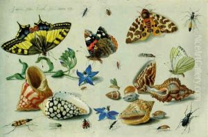 A Swallowtail, A Red Admiral And Other Insects, Harebell Flowers And Assorted Shells by Jan van Kessel the Elder