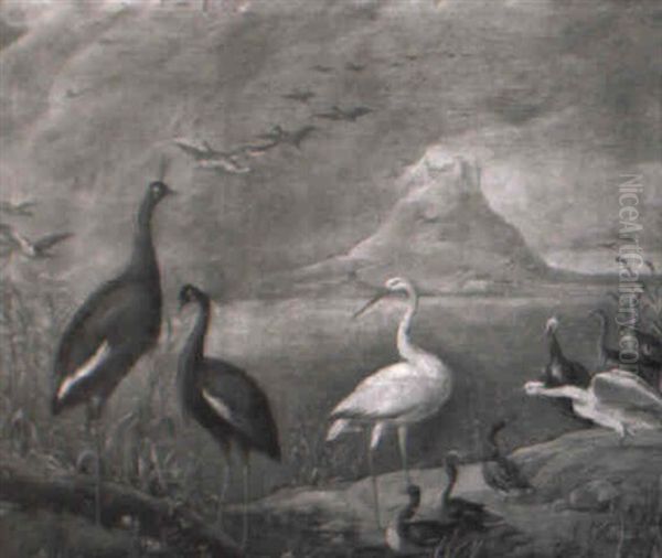 Cigogne Et Autres Oiseaux Dans Un Paysage De Lacs - view 1