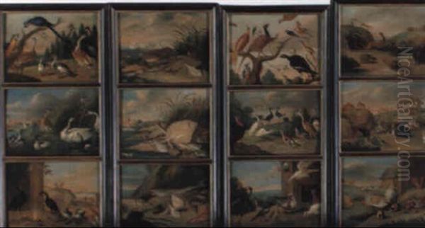 Birds, Fish And Animals In Landscapes - view 1
