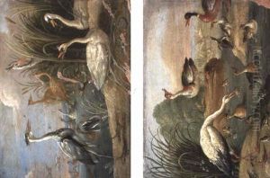 Birds On Riverbanks