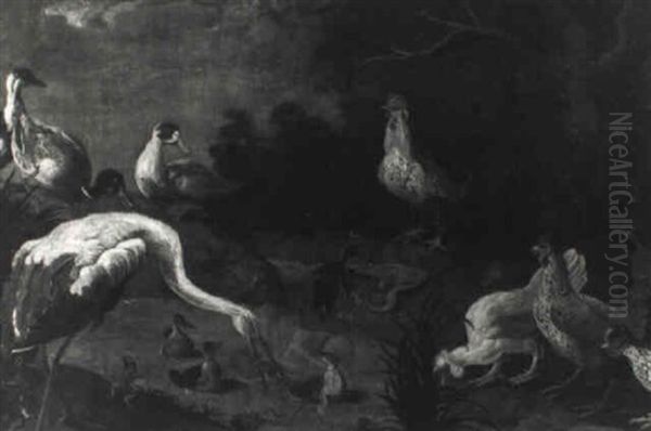Birds By A River - view 1