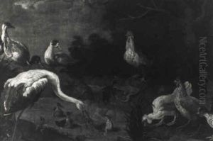 Birds By A River
