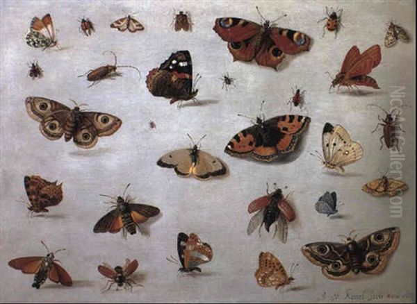 Butterflies, Moths And Beetles - view 1