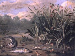 Poissons Et Batraciens S',battant Parmi Des Roseaux