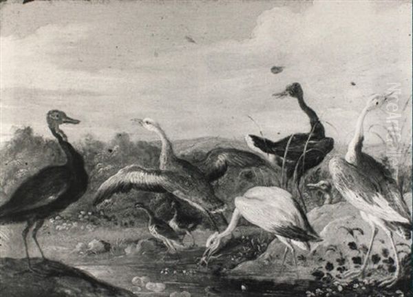 Wildfowl Near A Stream - view 1