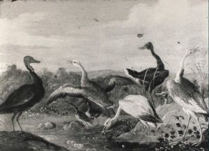 Wildfowl Near A Stream