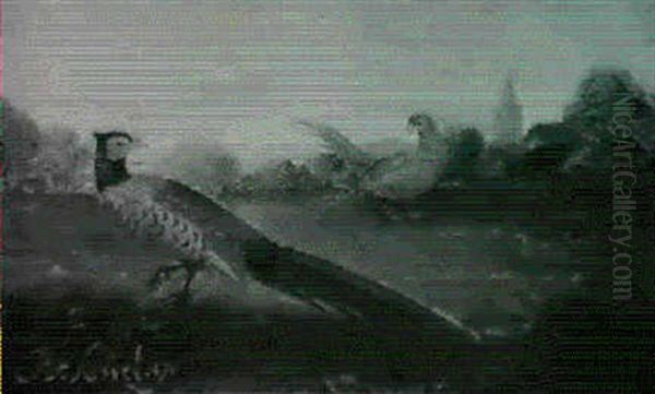 Two Pheasants In A Country Landscape - view 1