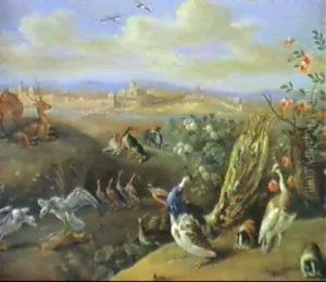 A Peacock, Other Large Birds...... by Jan van Kessel the Elder