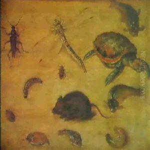 A Study Of Insects, Sea Creatures And A Mouse by Jan van Kessel the Elder