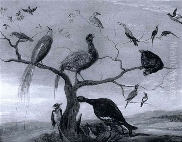 Birds In A Landscape - view 1