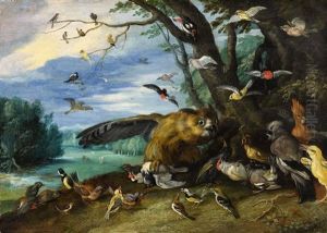 Birds Fighting