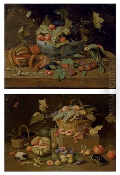 Fruits Dans Un Plat En Delft, Perroquet Et Ecureuil Sur Un Entablement (+ Un Panier De Fruits, Tortue Et Cochon D'inde, Lrgr; 2 Works) - view 1
