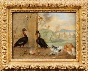 Oiseaux Se Nourrissant De Salamandres